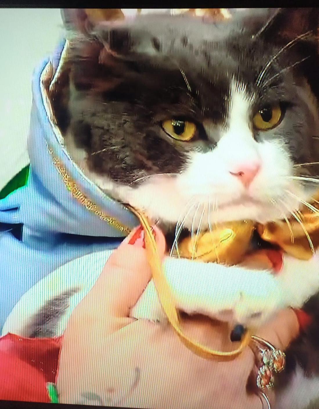 La Bella * Putignano